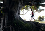 Photo 3 pour L'ARBRE